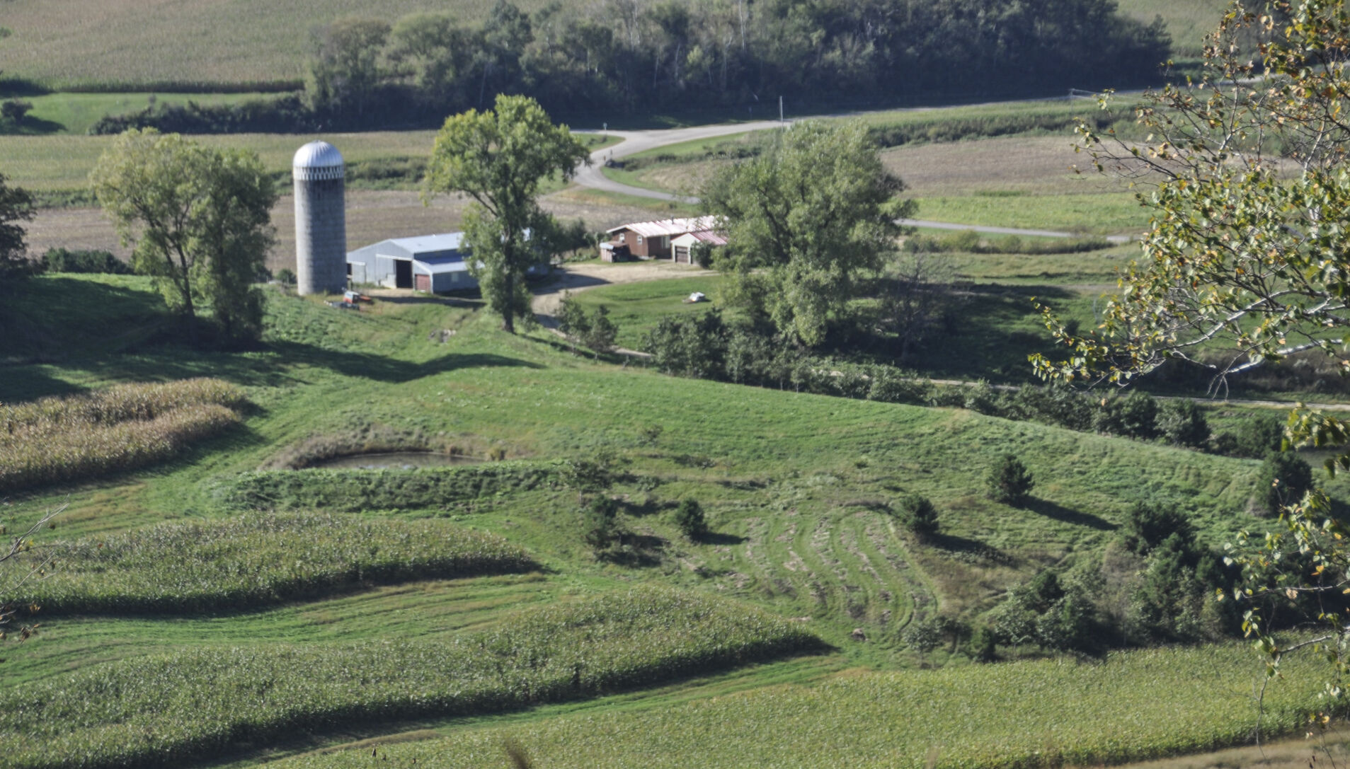 Bulman farm
